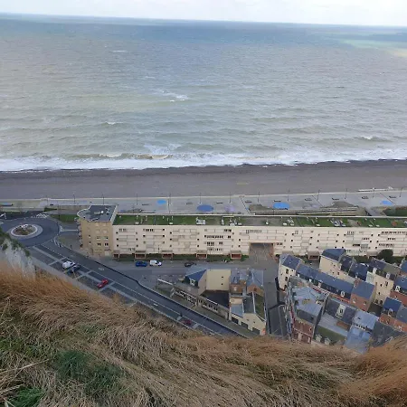 Goeland * Le Tréport