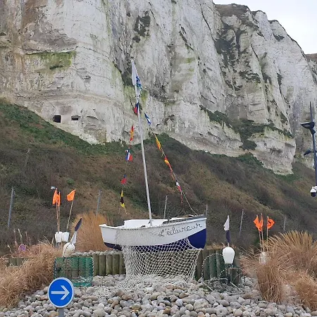 Goeland * Le Tréport