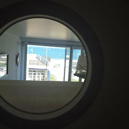 Goeland * Le Tréport