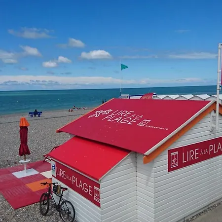 Goeland * Le Tréport