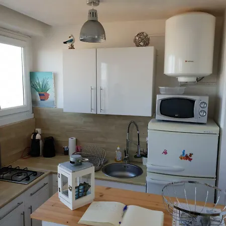 Goeland * Le Tréport