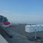 Goeland Le Tréport