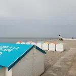 Goeland * Le Tréport