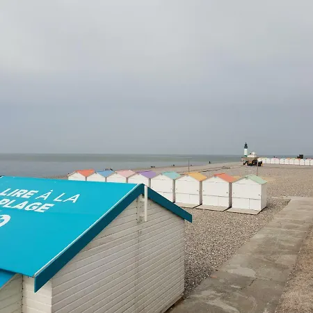 Goeland * Le Tréport