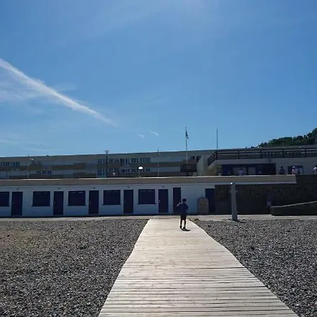Goéland * Le Tréport