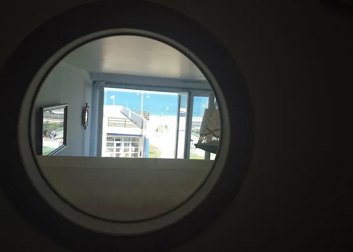 Goeland * Le Tréport