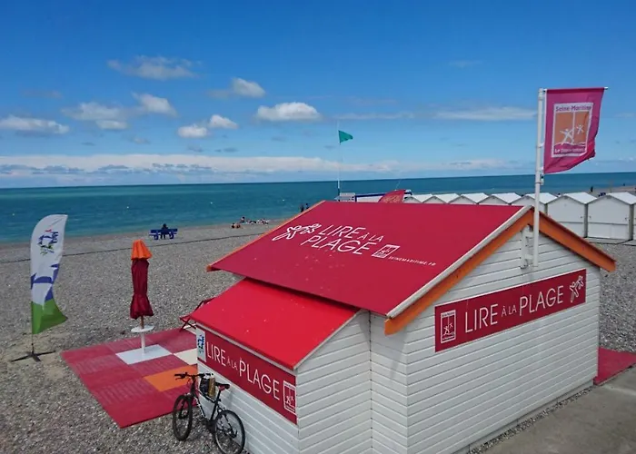 Goeland * Le Tréport