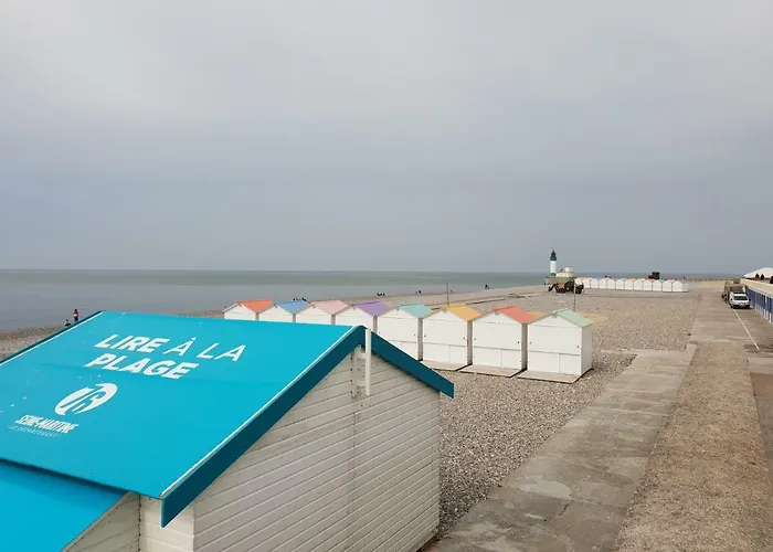 Goeland * Le Tréport